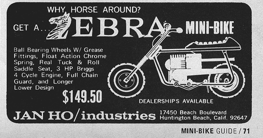 Zebra_ad